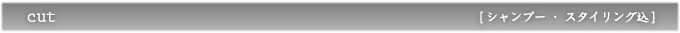 cut シャンプー・スタイリング込